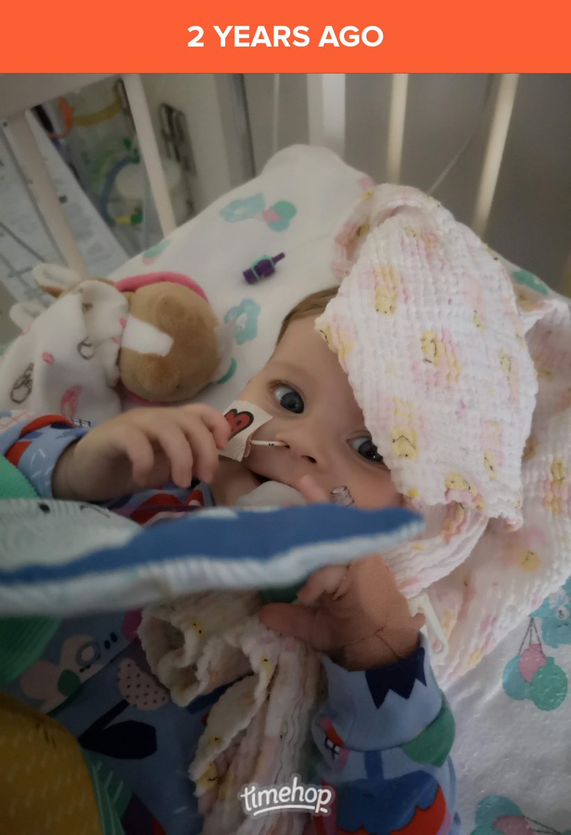 Majella_Spang's tweet photo. Goodnight Alice @janbartspang  #dilatedcardiomyopathy #gonetoosoon #heartbaby #heartbroken #amazingalice #restrictivecardiomyopathy #grief https://t.co/pno88uoGiR