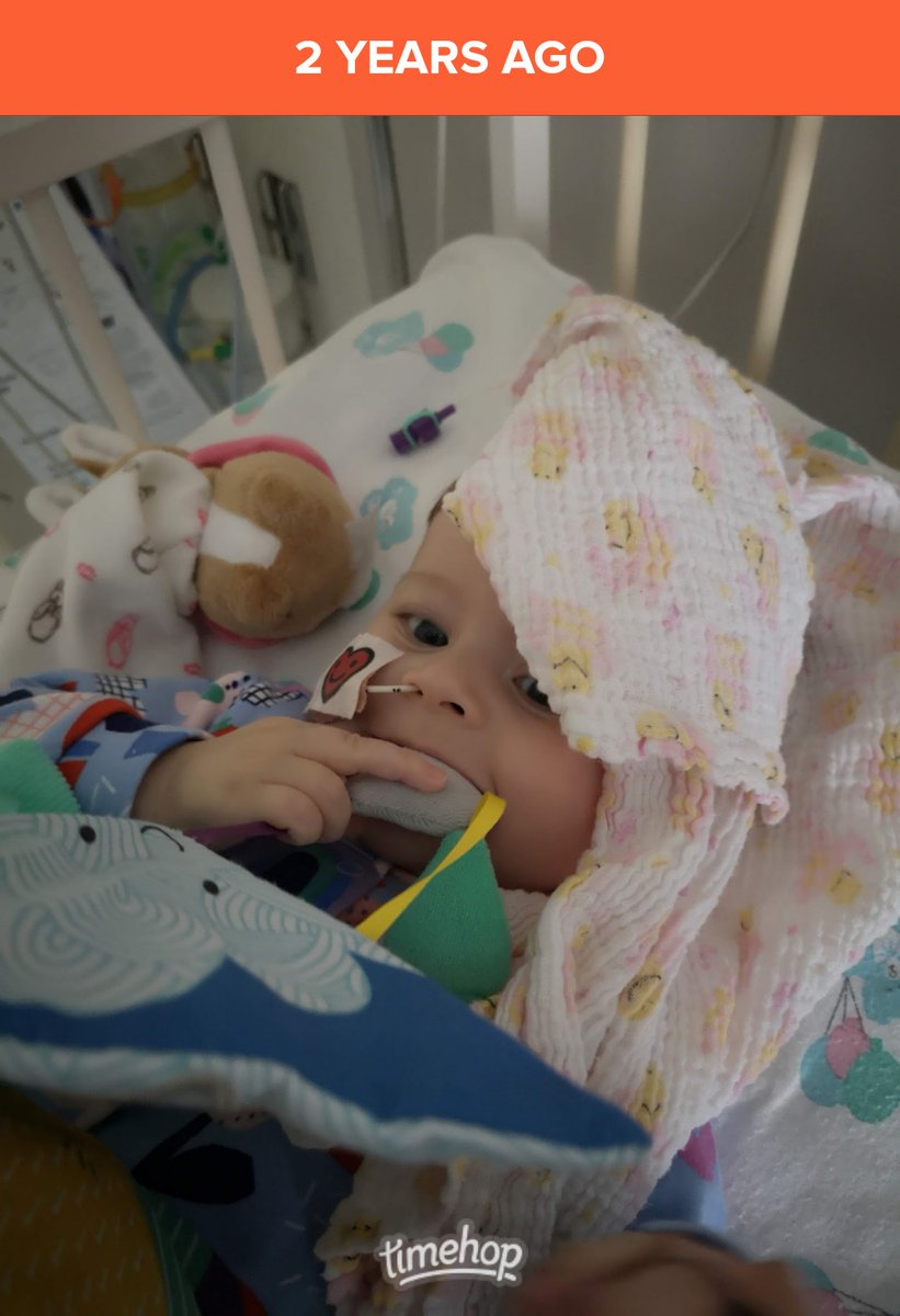 Majella_Spang's tweet photo. Goodnight Alice @janbartspang  #dilatedcardiomyopathy #gonetoosoon #heartbaby #heartbroken #amazingalice #restrictivecardiomyopathy #grief https://t.co/pno88uoGiR