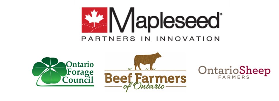 ForageCouncil's tweet photo. #LeedsCounty farmers, Brad &amp; Karen Davis receive #MapleseedPastureAward Visit our website for the full story: https://t.co/pacxgAPdHG #grazing #pasture @OntarioSheep @MapleseedCanada https://t.co/rRybnPi1WB