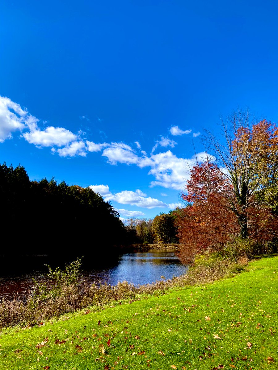ErinLoftus15's tweet image. A beautiful but chilly afternoon walk! #November1st #fallingforfall 
Oh and if your state’s having an election #VoteBlue 🌊💙💙