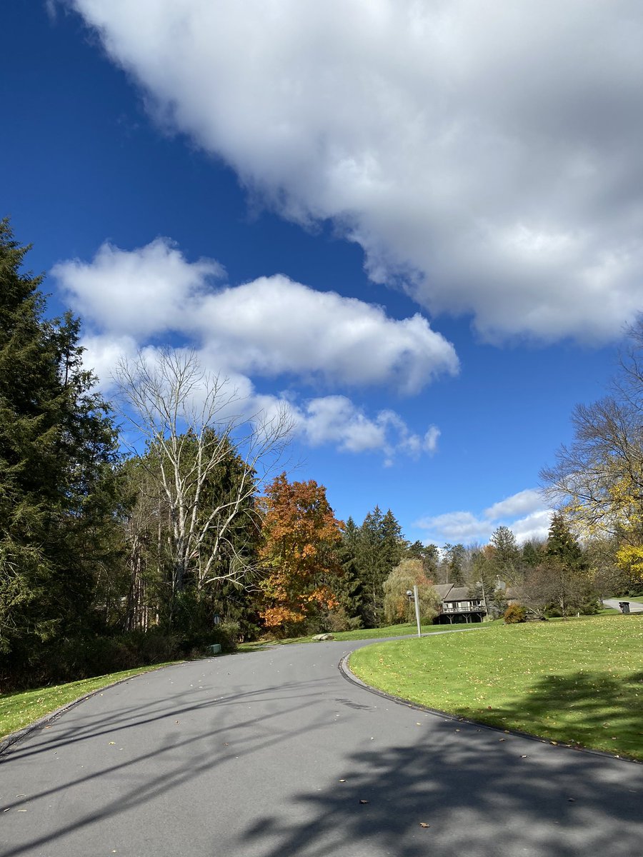 ErinLoftus15's tweet image. A beautiful but chilly afternoon walk! #November1st #fallingforfall 
Oh and if your state’s having an election #VoteBlue 🌊💙💙