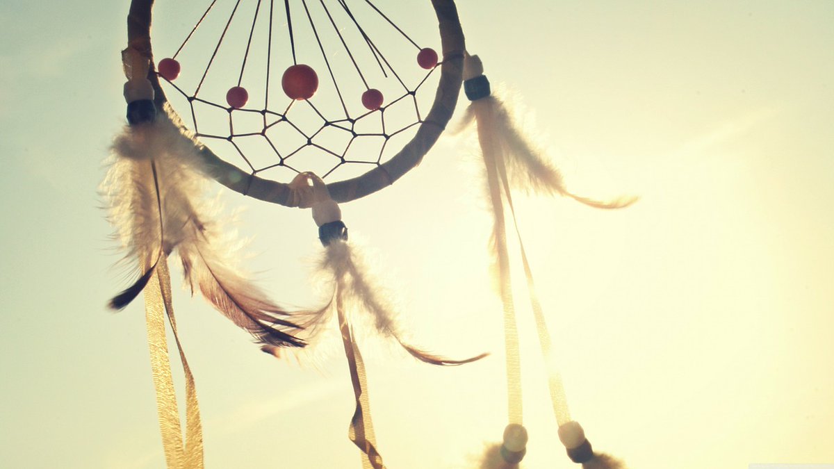 BHCLibrary's tweet photo. November is National Native American/Indigenous Peoples Heritage Month https://t.co/6Dvtd9YrZn https://t.co/Y74OOpwZmt