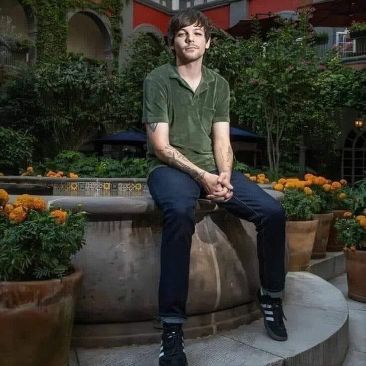 hlmexicanosbot's tweet photo. hermoso día para recordar esta foto de louis rodeado de cempasúchil <3 https://t.co/XzdBbBaE9C