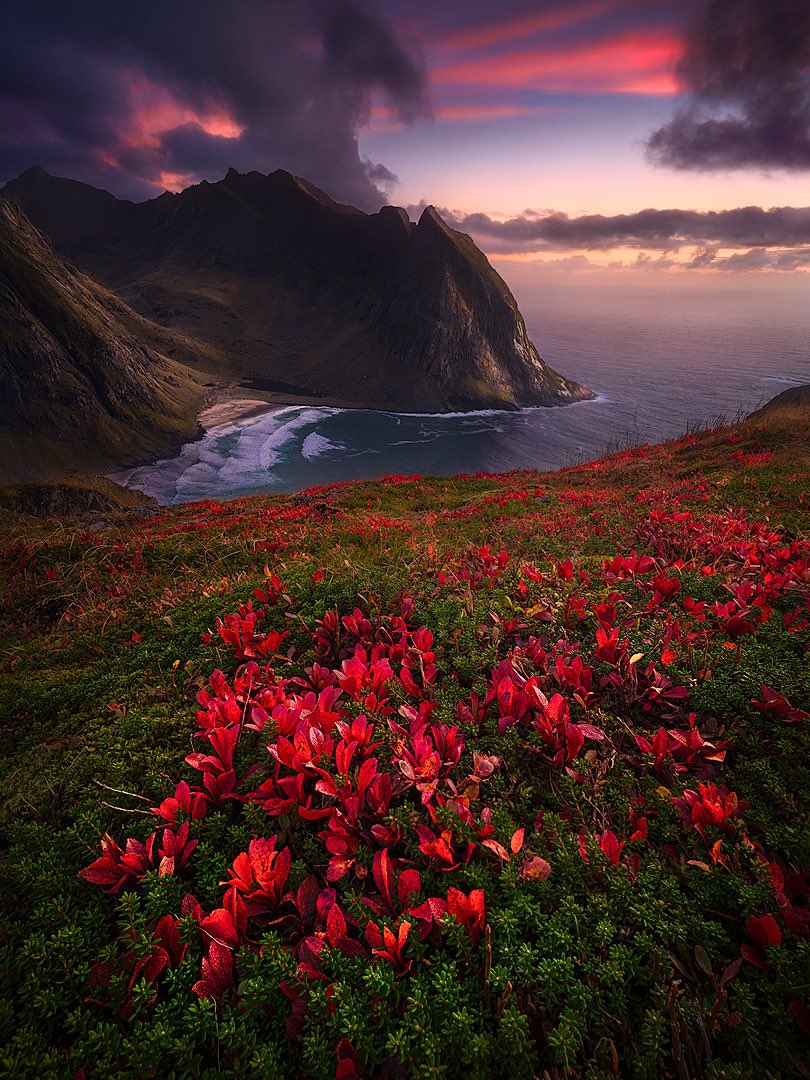 bellandscapes's tweet photo. Arctic autumn 🍁 https://t.co/QhFjDBakz2