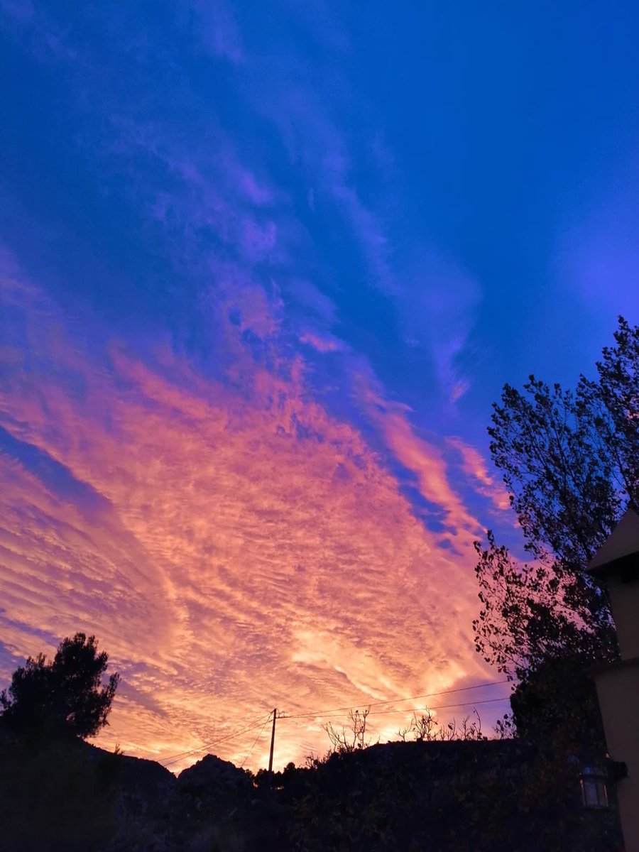 lauraescx's tweet photo. Mi abuela le ha hecho fotos al atardecer para enviármelas porqué me he dormido y no lo he visto. Es que es maravillosa💞💞 https://t.co/t1qhierVEj
