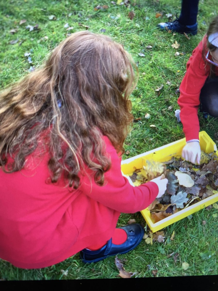 FeatherstoneYR5's tweet photo. It was great to start this half term by welcoming the little visitors to our classes. Year 5 researched and created some lovely habitats for the crickets. https://t.co/rOvWFOsqXE