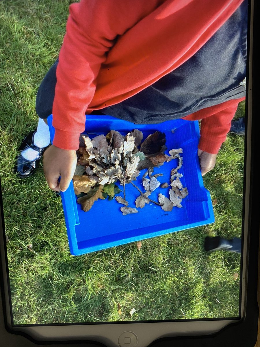 FeatherstoneYR5's tweet photo. It was great to start this half term by welcoming the little visitors to our classes. Year 5 researched and created some lovely habitats for the crickets. https://t.co/rOvWFOsqXE