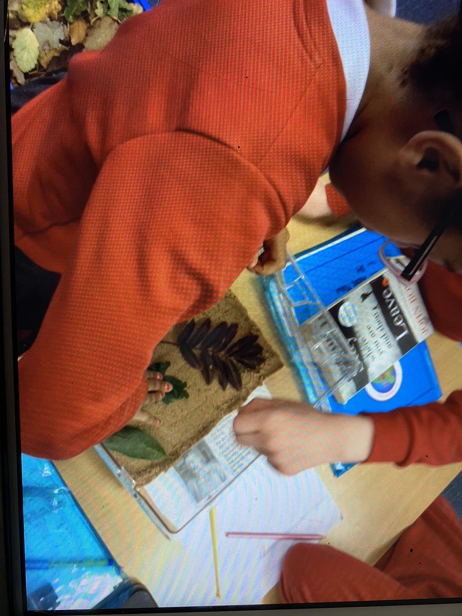 FeatherstoneYR5's tweet photo. It was great to start this half term by welcoming the little visitors to our classes. Year 5 researched and created some lovely habitats for the crickets. https://t.co/rOvWFOsqXE
