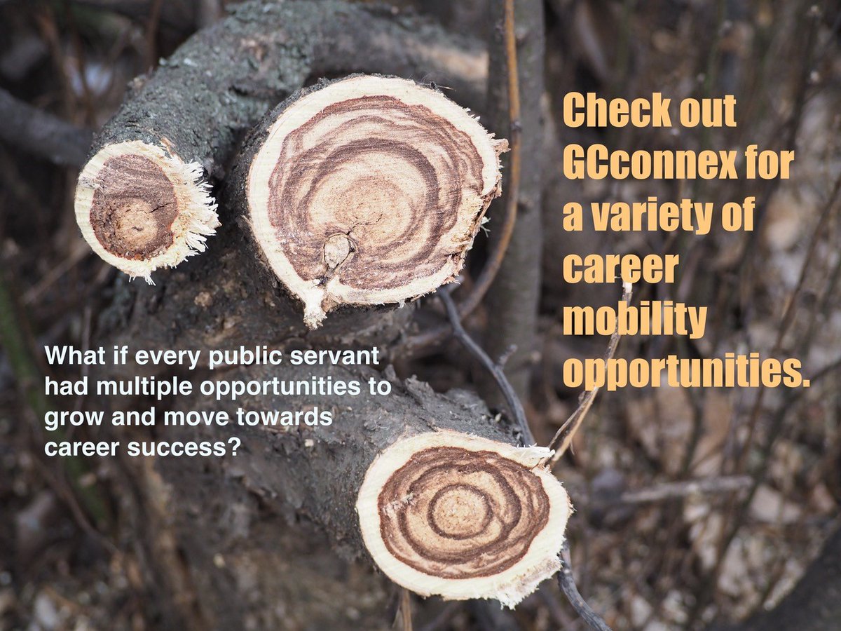 People get ready! <a href="/OXYGENAlberta/">OXYGEN Network</a> <a href="/Sask_YN/">Sask Youth Network</a> <a href="/fln_manitoba/">FLN Manitoba</a> <a href="/PrairieCouncil/">Prairie Federal Council</a> GO TO gcconnex.gc.ca/groups/profile…