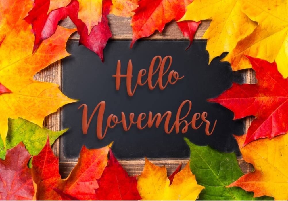 ChereLEastland's tweet photo. October was one of the busiest month all year.
Hello Sweet November! 
#realestate #realtor  #realestateagent #realtorlife  #invest #helpmemove #firsttimehomebuyer #openhouse #homeowner #listingagent #sellyourhome #sold #justlisted #mortgagebroker #homeowner #homebuyingtips https://t.co/9AEPTV64ok