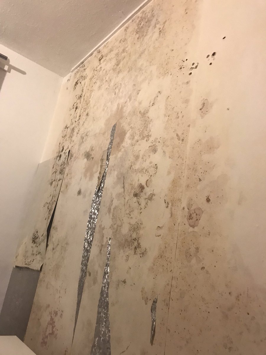 OfficialConnorY's tweet photo. @ADCAshfield My home you continue to let me living in, after months and months with continuing health (breathing problems) yet ignored and I am furious that a person has to live in these conditions!! I am not the only one. Councillors have been contacted yet nothing?Please share https://t.co/QvNShAUIME