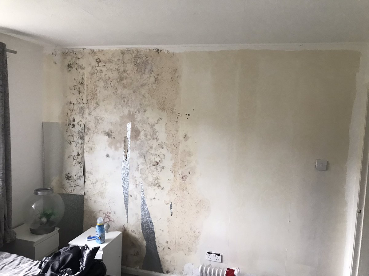 OfficialConnorY's tweet photo. @ADCAshfield My home you continue to let me living in, after months and months with continuing health (breathing problems) yet ignored and I am furious that a person has to live in these conditions!! I am not the only one. Councillors have been contacted yet nothing?Please share https://t.co/QvNShAUIME
