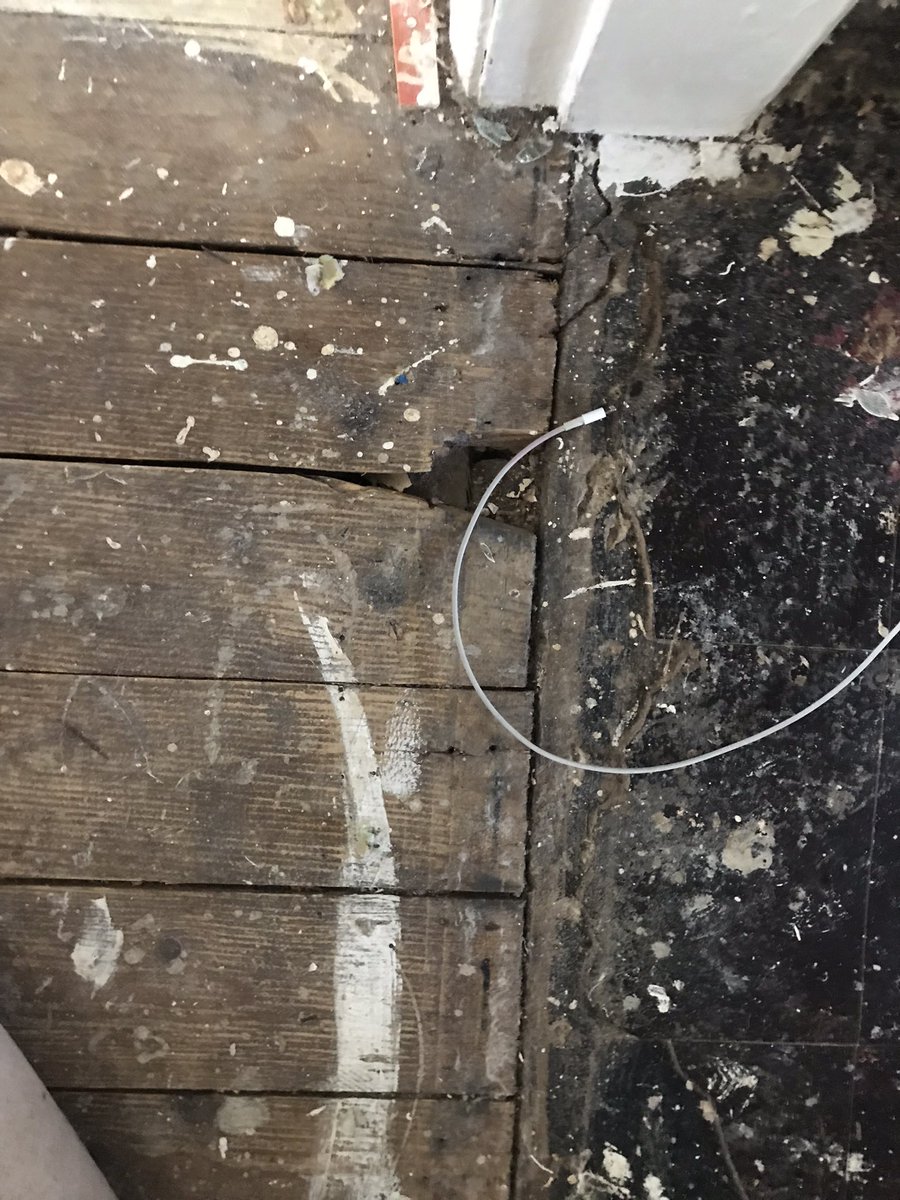 OfficialConnorY's tweet photo. @ADCAshfield My home you continue to let me living in, after months and months with continuing health (breathing problems) yet ignored and I am furious that a person has to live in these conditions!! I am not the only one. Councillors have been contacted yet nothing?Please share https://t.co/QvNShAUIME
