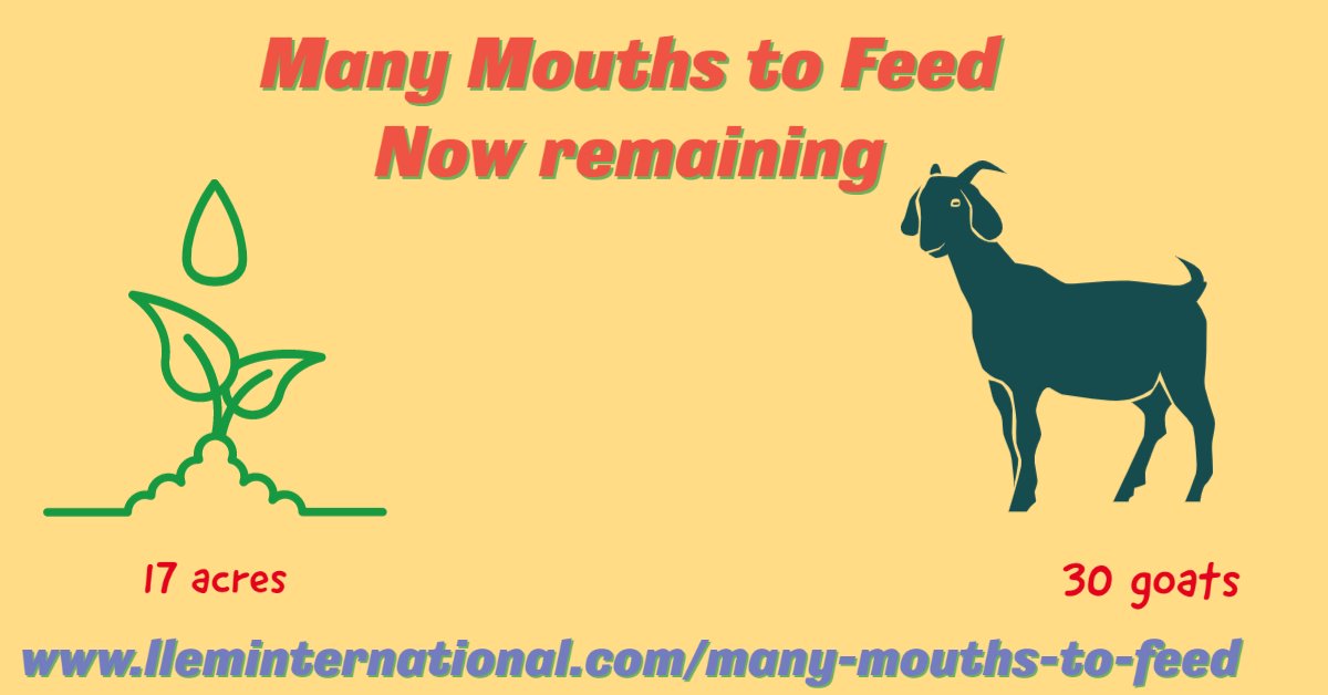 LLEMIntl's tweet image. LLEM November 2021 Newsletter - mailchi.mp/lleminternatio…