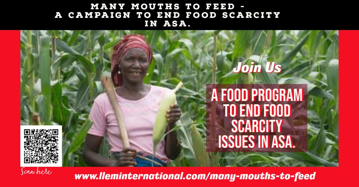 LLEMIntl's tweet image. LLEM November 2021 Newsletter - mailchi.mp/lleminternatio…