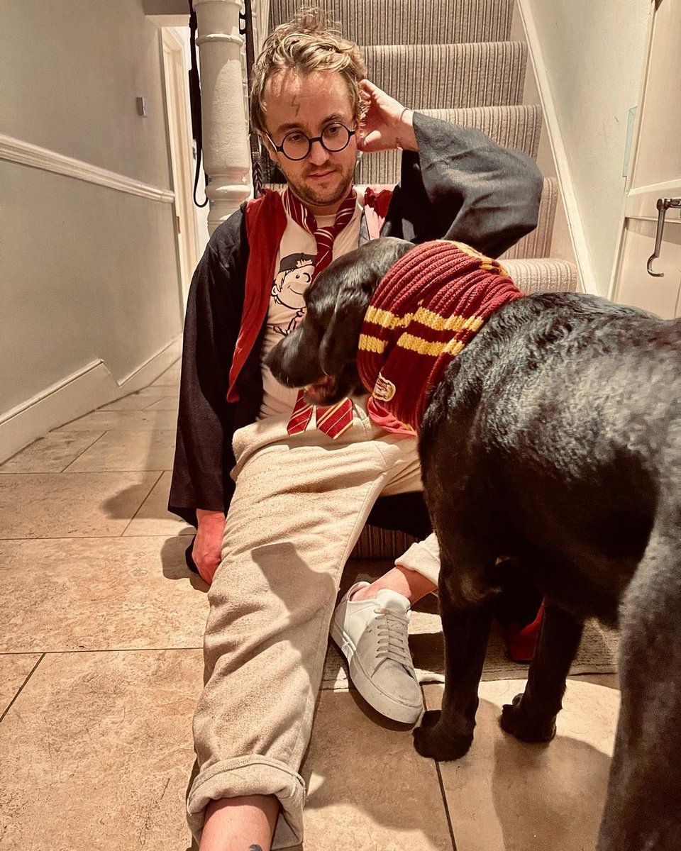 Harry Potter Posts tweet media