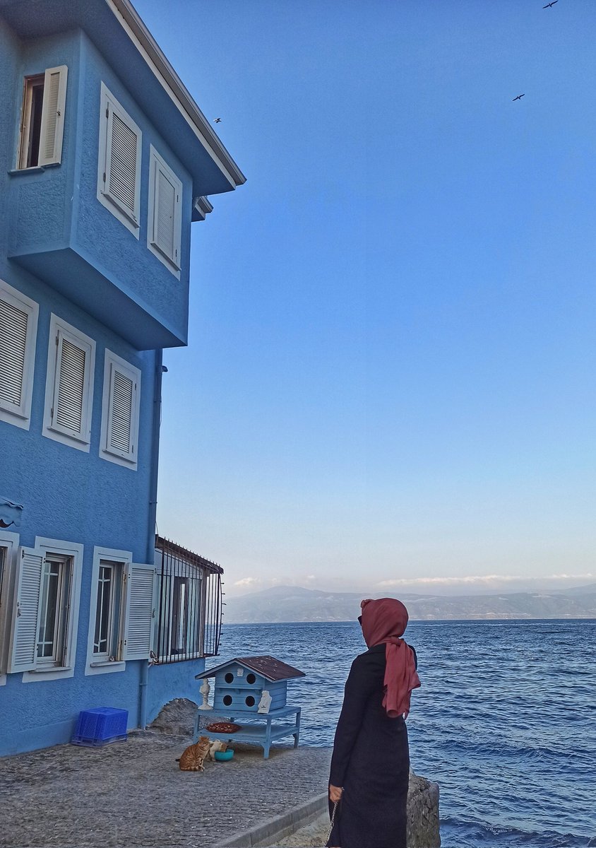 Şehir dediğin mavi olur, deniz kokar.