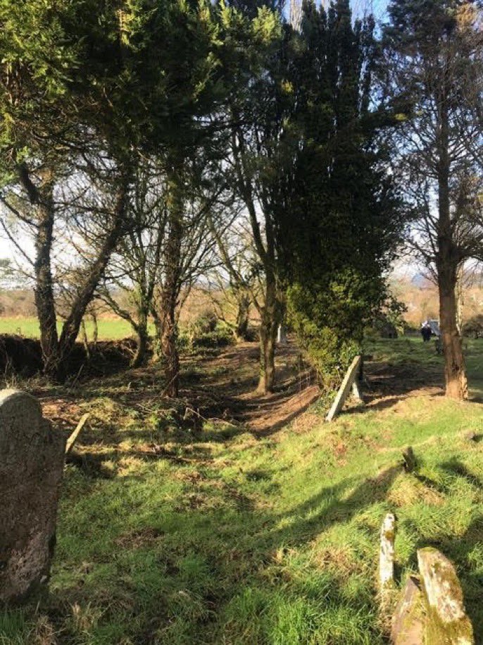 BallinoraComm's tweet photo. INNISKENNY GRAVEYARD
Ballinora&amp;District Community acknowledge with thanks the funding support&amp;advice received from @#CorkCoCoCommunityFund for works recently undertaken by the Retired Men’s Group to remove trees encroaching on the Graveyard at Inniskenny
@Corkcoco https://t.co/sqaD2wocdl