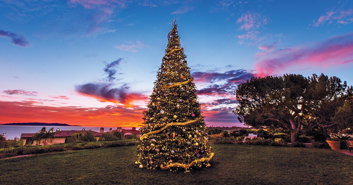 NikkiSpitzer's tweet photo. Dreaming of a Holiday getaway?🦃🎄
VIRTUOSO INSIDER’S GUIDE: Holiday &amp; Winter Getaways https://t.co/3AbzDRJH08{owner=nikki@travelalatteltd.com}&amp;utm_campaign= https://t.co/IjLlnvHDtg