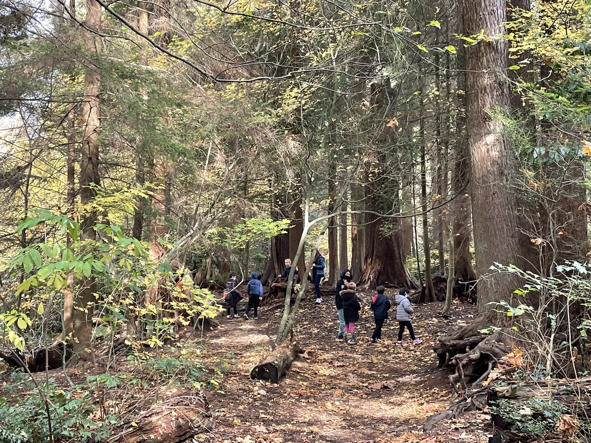 École PJ tweet media