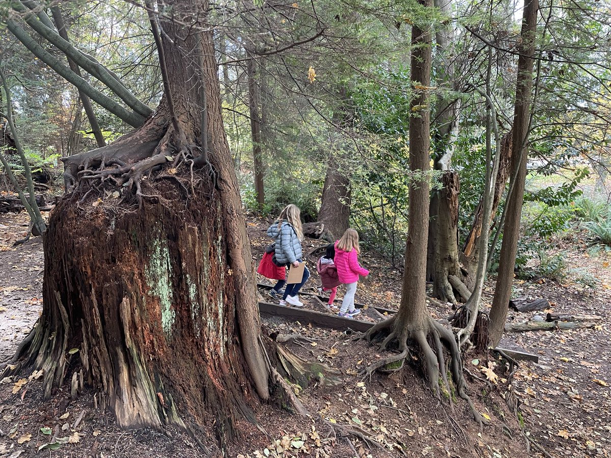 École PJ tweet media