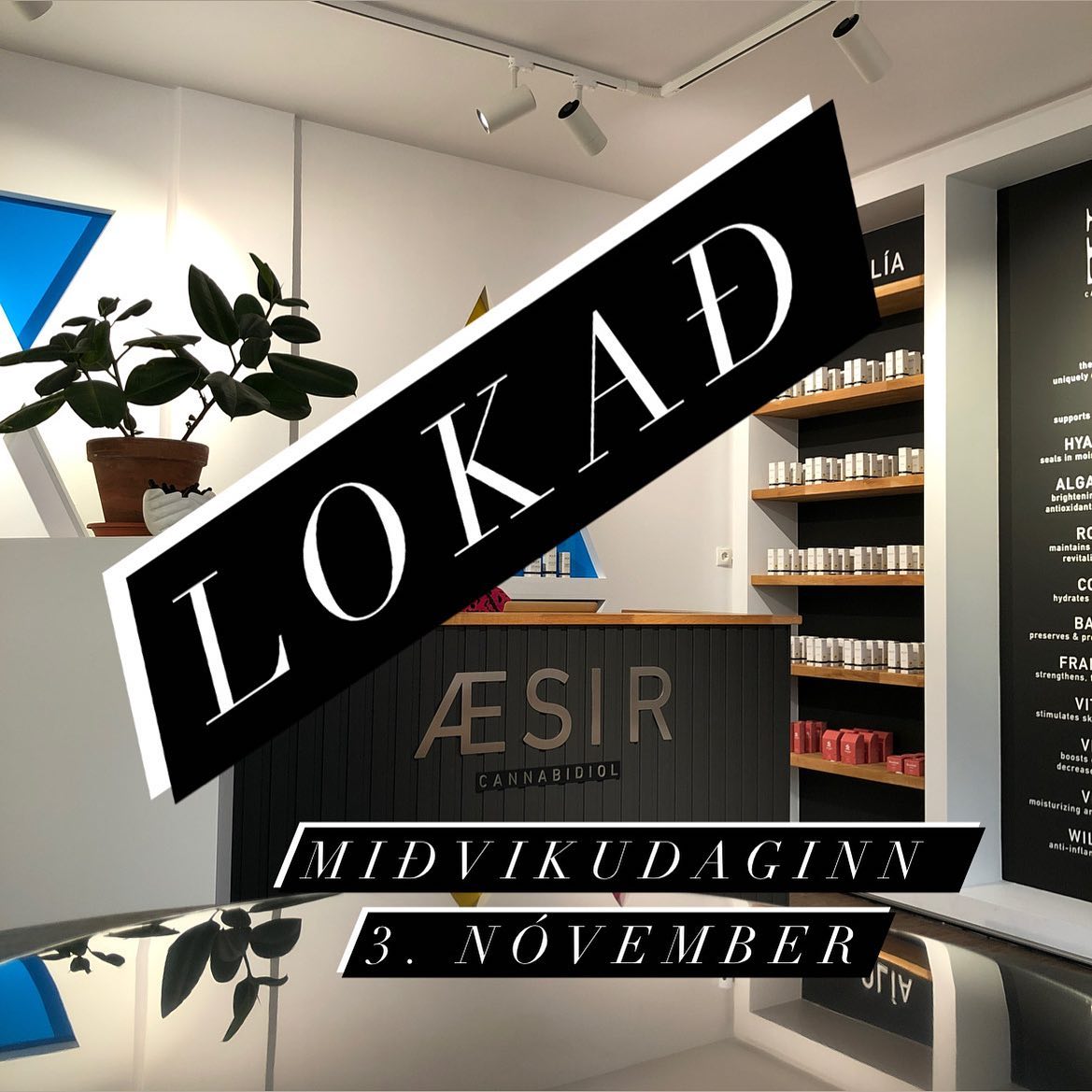 AesirCbd's tweet photo. Lokað í CBD búðinni á miðvikudaginn 3. nóv https://t.co/qGWysN5Jbh