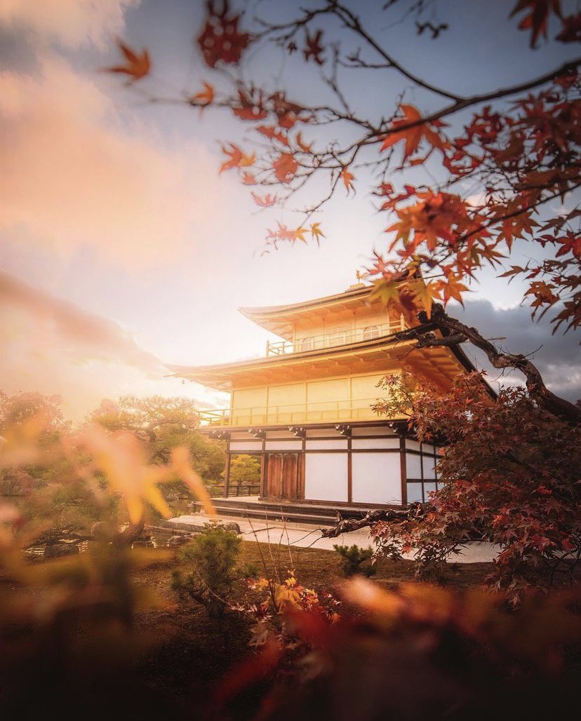 Autumn in Japan 🍂