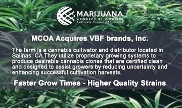 MCOAmerica's tweet photo. California continues to be the world's largest legal cannabis market, and offers tremendous market potential for MCOA with this acquisition that includes cannabis nursery, cannabis manufacturing/distribution &amp; cultivation licenses.

https://t.co/4x79ohNiCd

$MCOA #MCOA #Cannabis https://t.co/DAf7loxdYW
