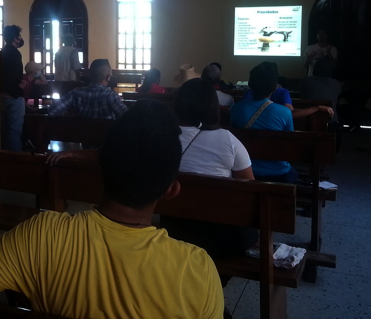 PlayeritosVenezuela tweet media