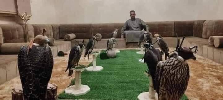 هذا اللي تنطبق عليه اغنية الحوش اللي مليان اصقورة ان شاءالله مانبكي في سوره🤣🤣🤣

منور يابو الساعدي🦅🦅🦅