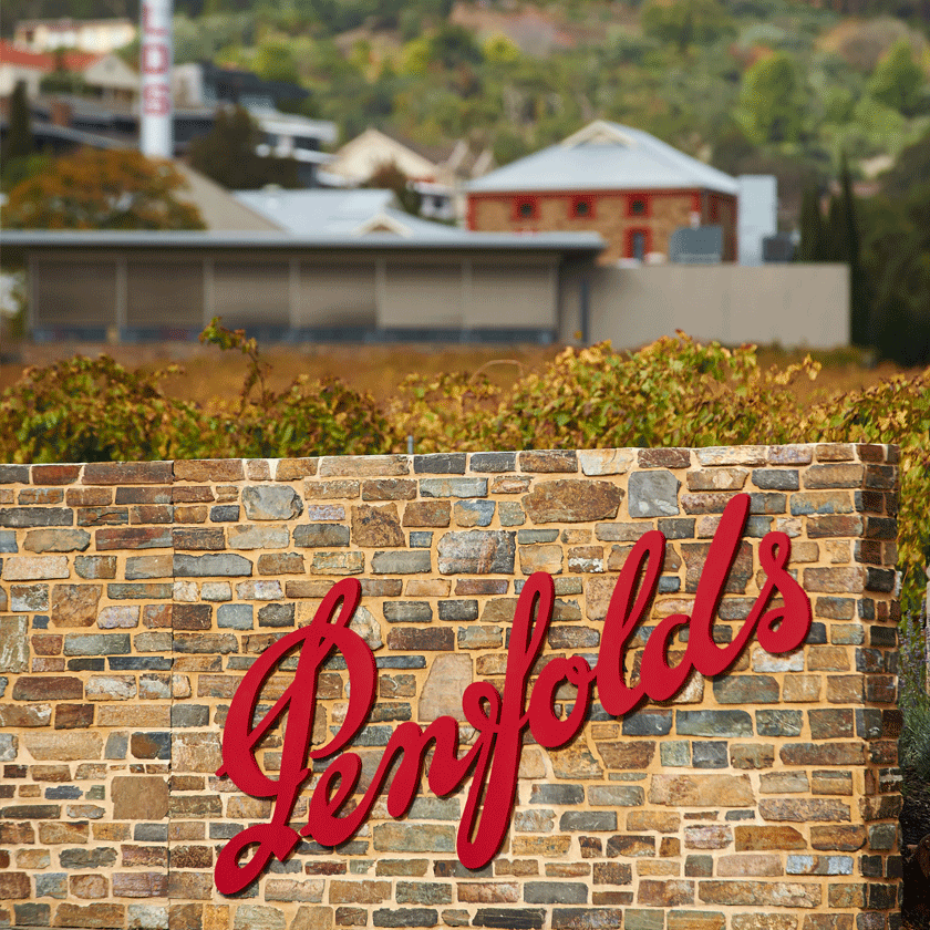 RootstockLG's tweet photo. Tasting Event Featuring #penfoldswinery Friday in LG and Saturday in MV from 1-4pm.   #winetasting #experiencelosgatos #penfolds https://t.co/p8aQkLd61D