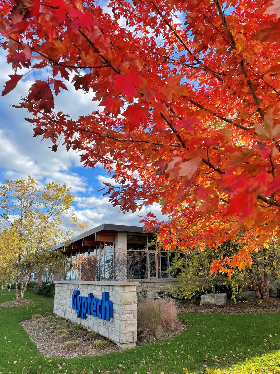 Gyptech's tweet photo. Happy #November1st 🍂Enjoying the beautiful colours of the autumn season🍁 Hope you have a great week! 
#Burlington #Gyptech #BurlON https://t.co/TpxOnjM3DK