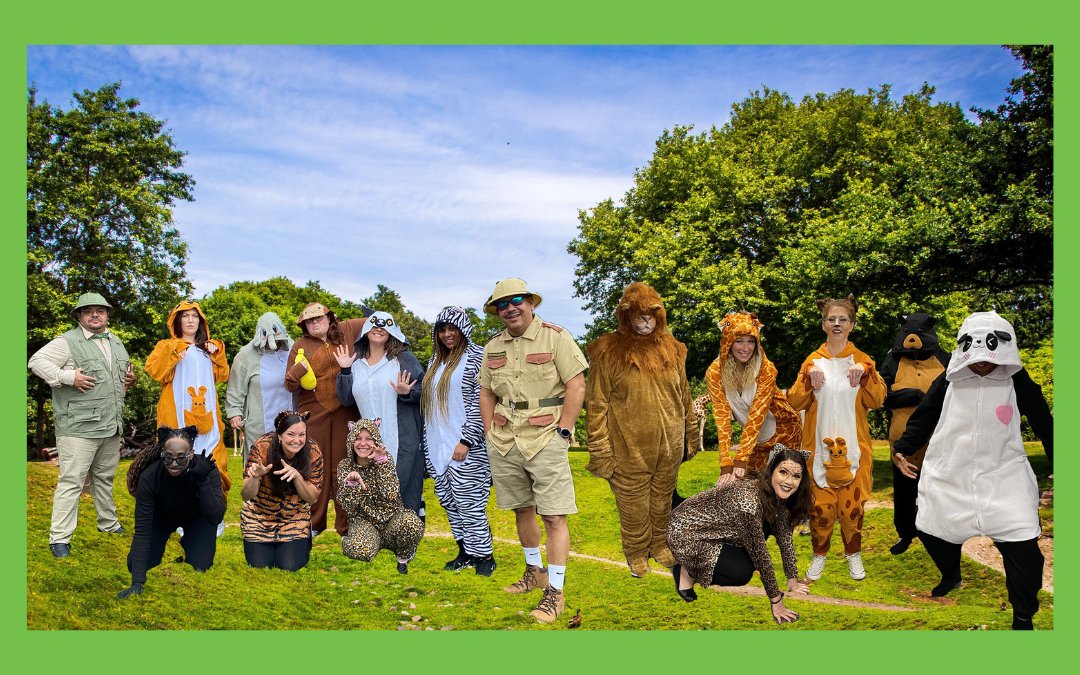 Alcott HR tweet media