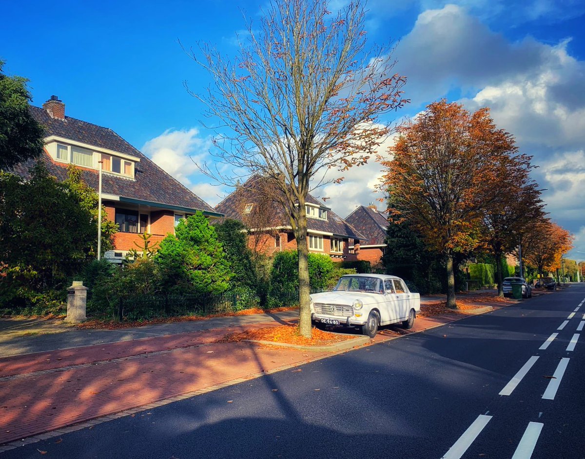 WilliamHuizinga's tweet photo. Autumn vibes #hilversum #peugeot #peugeot404 #classiccars #oldtimer #classicstyle #herfst #autogespot https://t.co/76RpXb1pH7