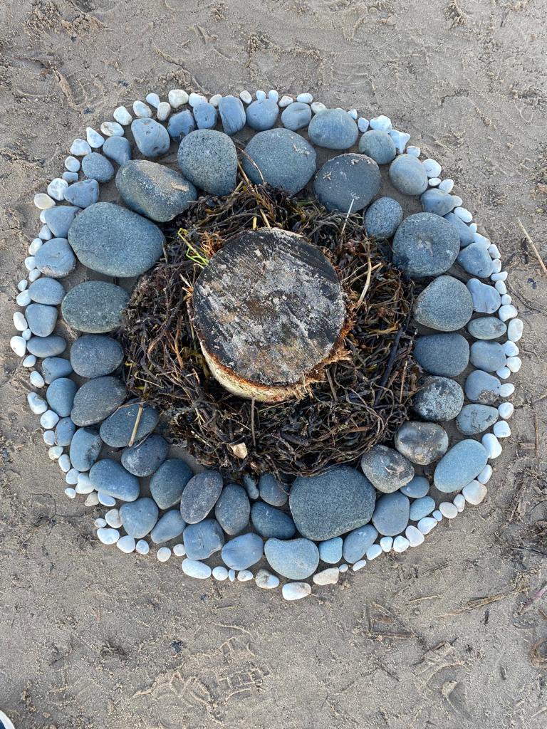 nicolamccleery's tweet photo. Wondering if my daughter’s outdoor art homework was inspired by a jellyfish, the circles at Lissanduff earthworks or #andygoldsworthy ?#portballintrae #runkerry @DiscoverNI @ILoveNorthCoast  

Either way hope you enjoy some tranquil half terms snaps!🐙🌊 https://t.co/7zakVzrDtt