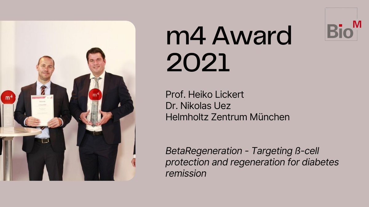 helmholtz_diabc's tweet photo. Congratulations to @LickertHeiko who won the @BioM_Munich m4 Award with the project "BetaRegeneration - Targeting ß-cell protection and regeneration for diabetes remission"! 🎉

🔗https://t.co/iXvw034Mbc https://t.co/DTIxEtP6TW