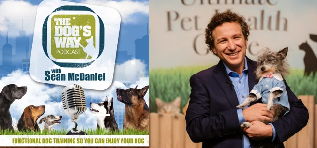 Dr. Gary Richter tweet media