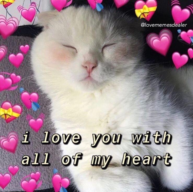 aureumsimia's tweet image. 🥰 #THEREALISTS FAM I LOVE YOU WITH ALL OF MY HEART THANK U FOR EXISTING
