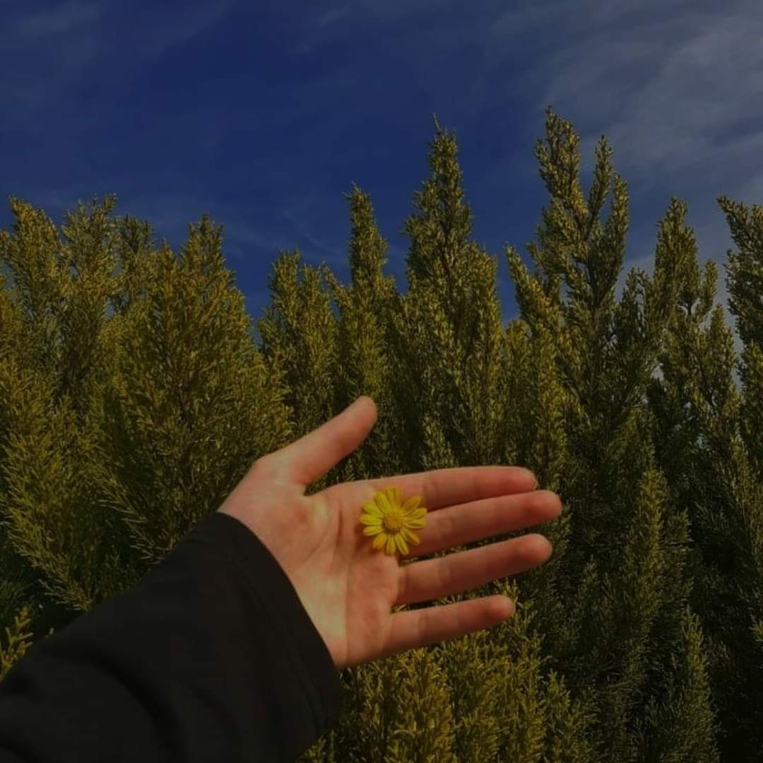 ...
ولكلًّ وجه من الحياة؛ ما يَستحقّ..!

كوني ذات فِطنةٌ حادةٌ..
وقريحةٌ وَقادةٌ؛ وعِزةٌ شديدةٌ، 
وعِفةٌ رفيعةٌ؛ وأُنوثةٌ رقيقةٌ وادعةٌ؛
خصالٌ إن اجتمعْنَ..! 
-كُنتِ؛ أْنثَى الأَساطير-!

كوني كـ دوارة الشمس؛ لا تيمم الروح؛
إلا شَطرَ الضوء الساطع..!")🦋 

-خديجة 🥀
#عجوز_البادية