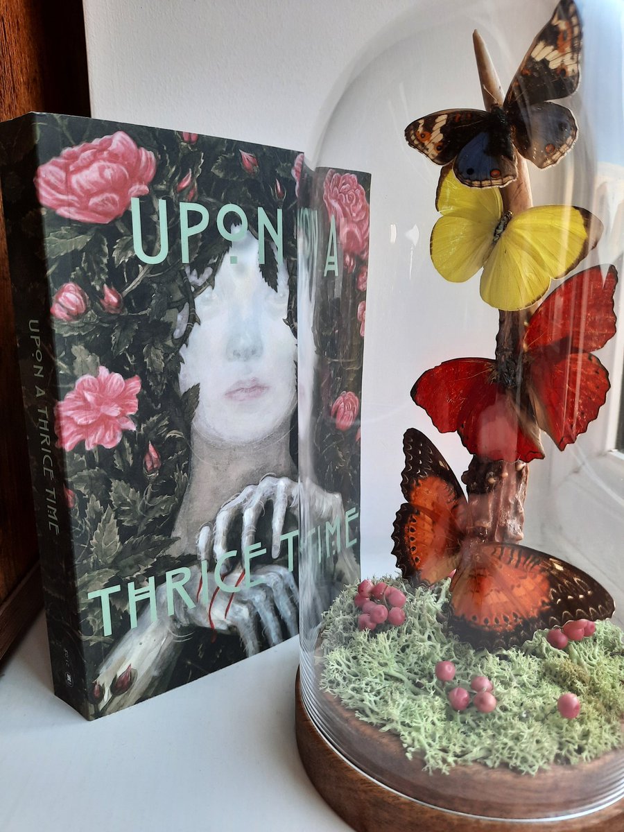 Kyle L. Grubb tweet media