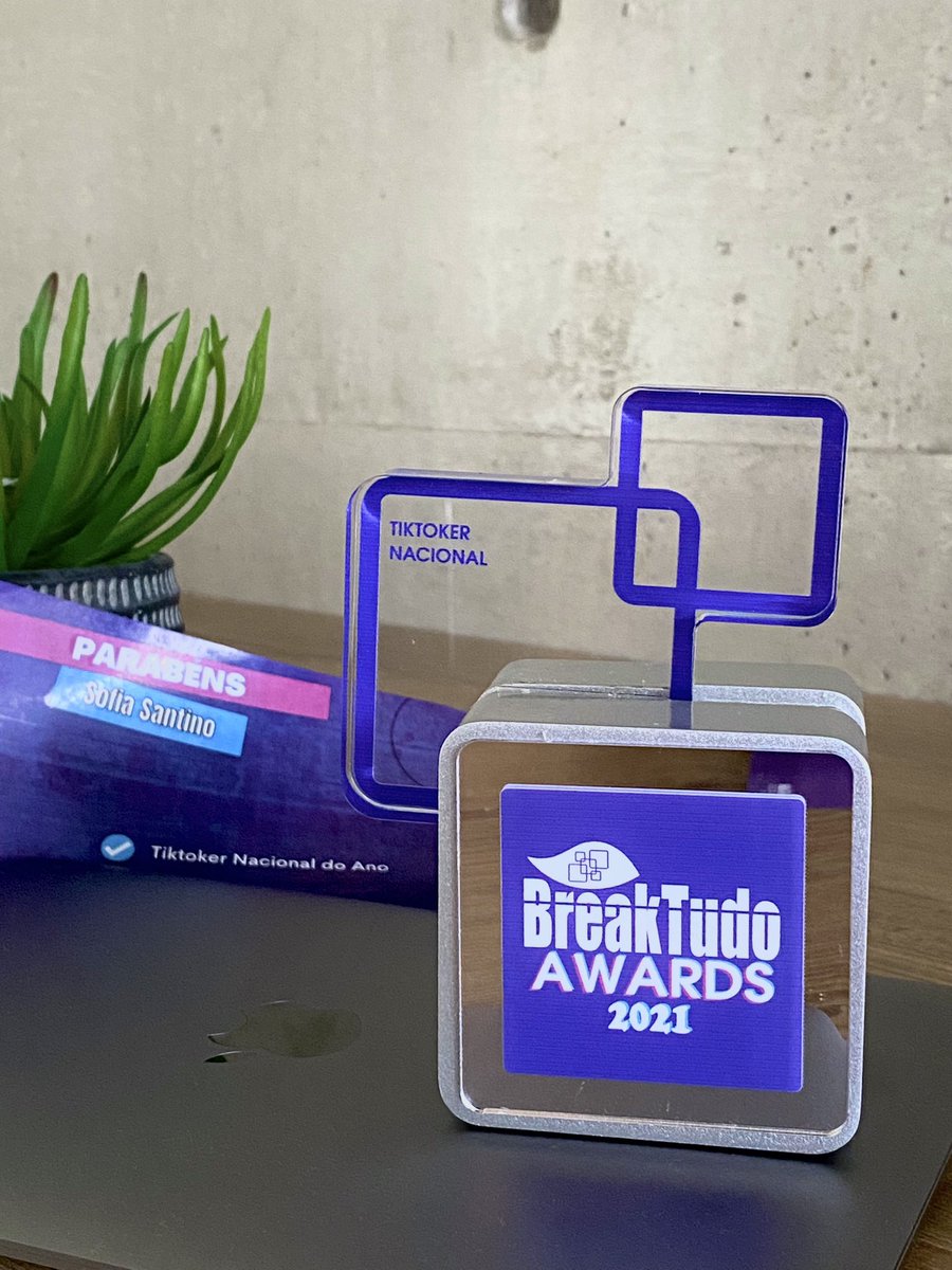 sofiasantino's tweet photo. hoje chegou meu trofeuzinho de tiktoker nacional 💙 https://t.co/etalWlbmsu