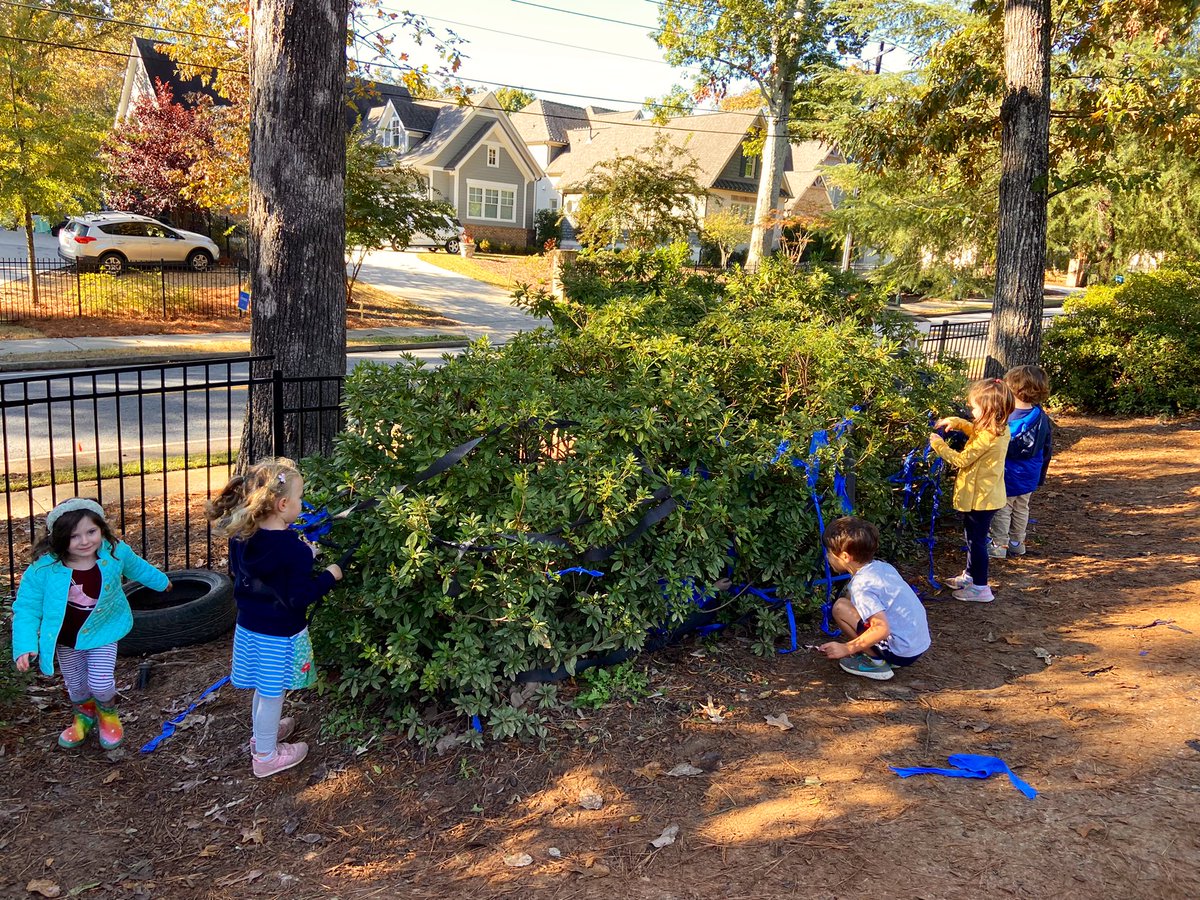 Anne Riley tweet media