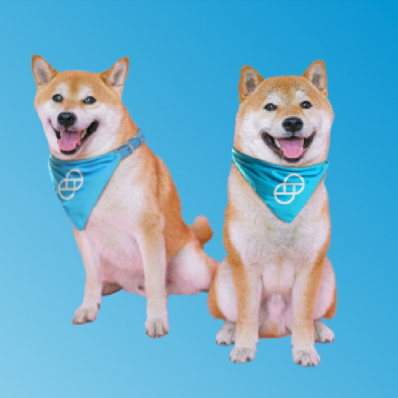 Gemini's tweet photo. Invest safely and securely with the world's leading #crypto exchange @Gemini. Sign up now and trade in minutes 🚀

Buy #Doge on Gemini today 🐕
