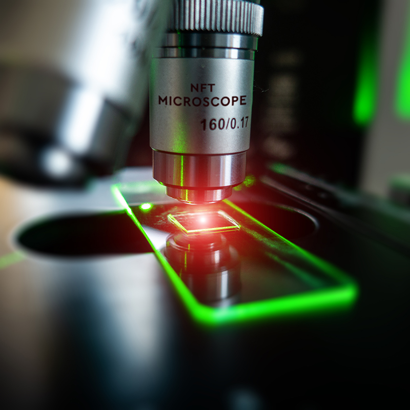 NFTHatchery's tweet photo. Laser-focused on inspecting the last NFTs before announcement. Stay tuned! 

#nft #nfts #nftdrop #eth #btc #nftcommunity #nftcollectors #cryptocurrency #bitcoin #ethereum #crypto #cryptonews https://t.co/m4gV7YKRqC