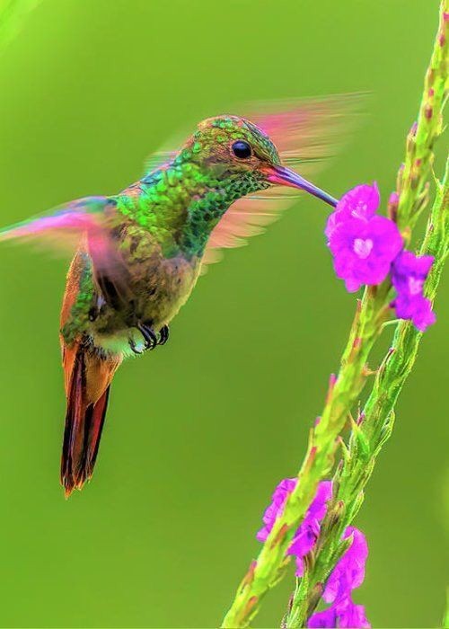 <a href="/mcmarlyncris/">Marlyncris♍</a> #GRUPO🔝 BVENIDONOVIEMBRE1 #BTardesLunes <a href="/bettina_250/">Ana Beatriz</a> <a href="/Bettydeltala2/">Bettina</a> <a href="/Beat_Sol_II/">˜”*°• Beatriz Sol •°*”˜ 💛</a> <a href="/OdriozolaMarina/">Marina Silvia Odriozola</a> <a href="/XxiJusticia/">MariCuri 56% 🦁🦆💜🩵Nueva Argentina</a> @VSzister <a href="/AndresVeiga2/">Andres Varela</a> <a href="/Mnica96441452/">Mónica 🇦🇷🇦🇷🇦🇷</a> <a href="/osoalalechu/">Lic. TARUFETTI</a> @Capisci_antik <a href="/capcentral01/">Carlos 🇦🇷</a> @capitanvontrap <a href="/Charly_Arg_Ok/">⚡Perseo ⚡</a> <a href="/MarianoCAP1/">Mariano CAP</a> <a href="/alicappo/">Alicia Cappo Fariña</a> @Laura_V_Frost 🌷🥀