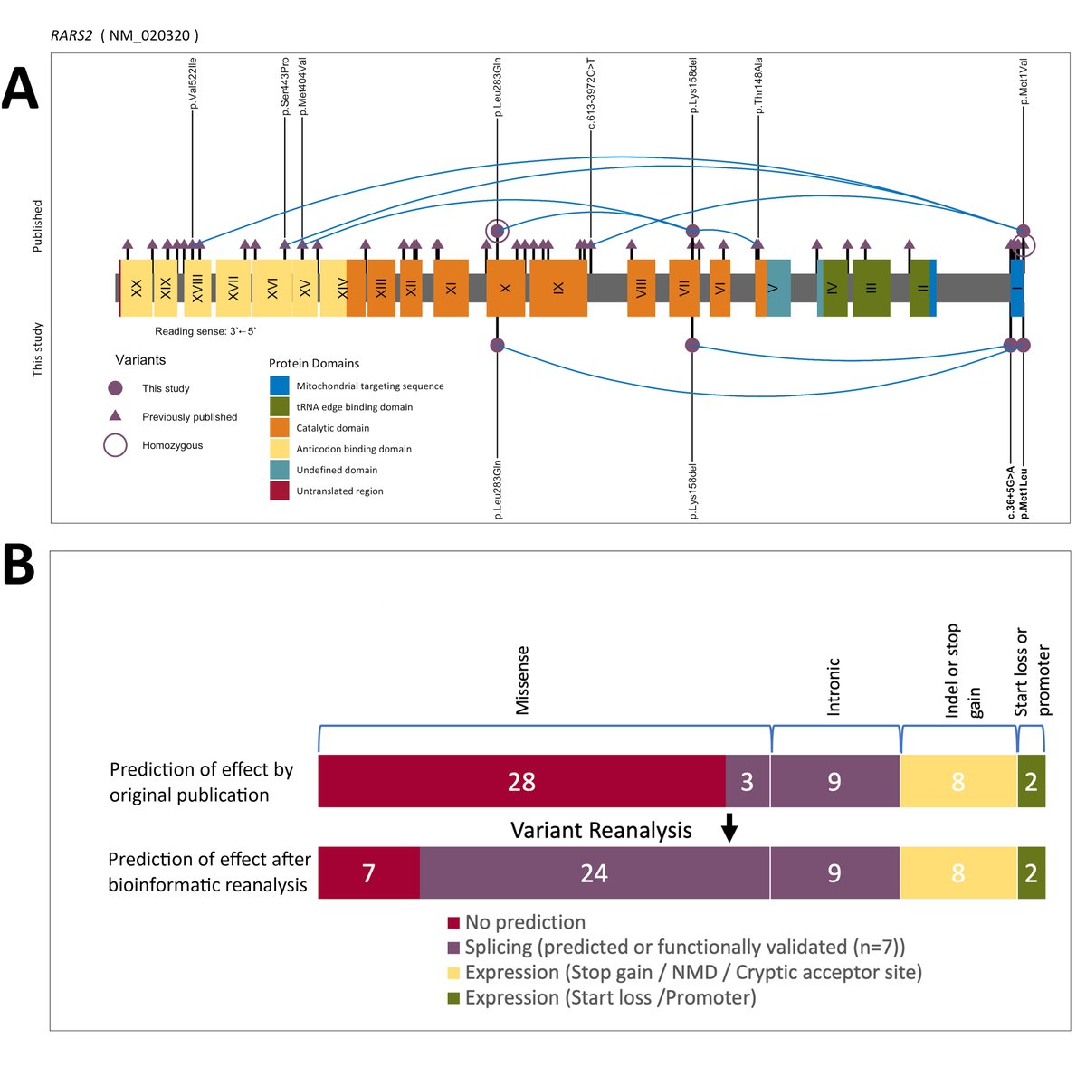 EpilepsiaOpen's tweet photo. Infantile‐onset Myoclonic Developmental and Epileptic Encephalopathy: a new RARS2 phenotype https://t.co/AJfXSaHb2Z
SHORT RESEARCH #openaccess @IlaeWeb @WileyNeuro #epilepsy #myoclonic #RARS2 https://t.co/clhdxIIxh9