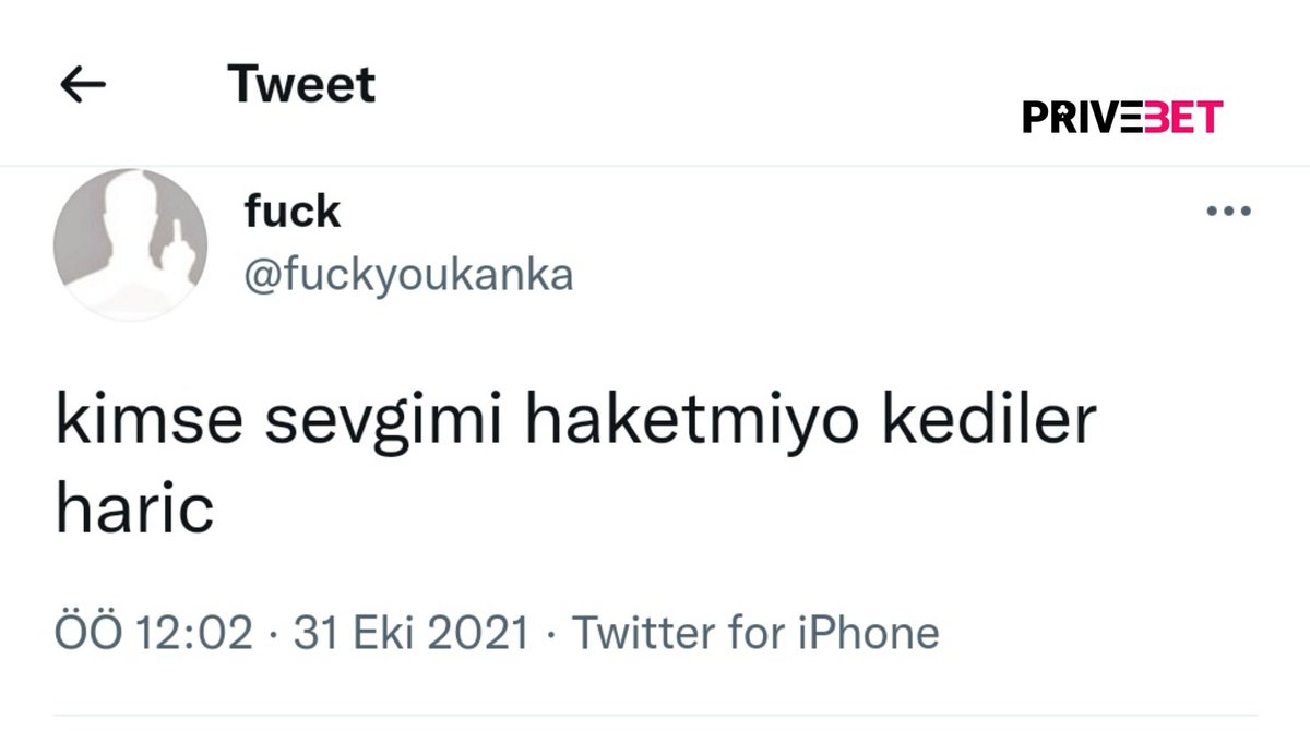 zek (@zekiyenuralmiss) on Twitter photo 