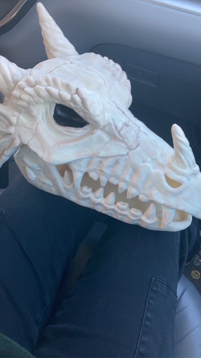 mixtyytxim's tweet photo. @Garrett_Watts Have my dragon skull I named Gary https://t.co/94xfXDCbPf