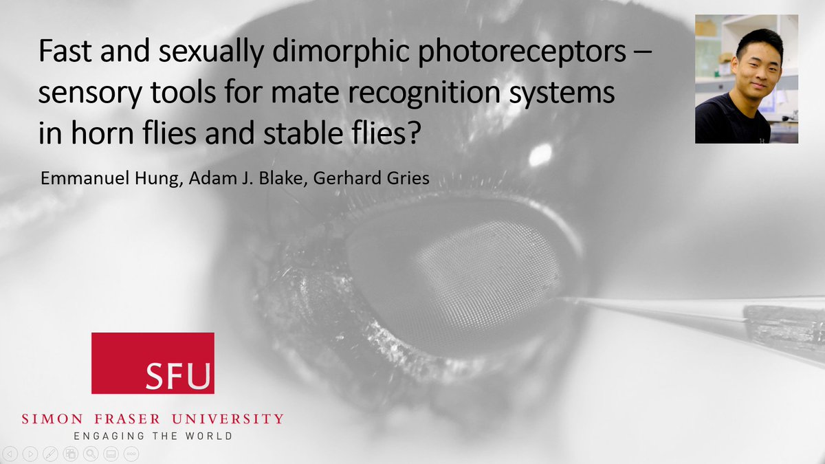Gries Lab tweet media