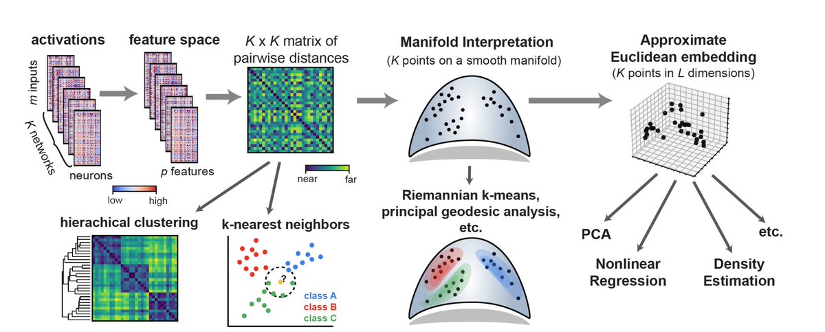 ItsNeuronal's tweet image. A very interesting trend in neuroscience is the emergence of datasets with large-scale recordings repeated across many animals (see e.g. @IntlBrainLab)

How to make sense of variability across animals in these data?

Our NeurIPS &apos;21 paper has a few ideas arxiv.org/abs/2110.14739